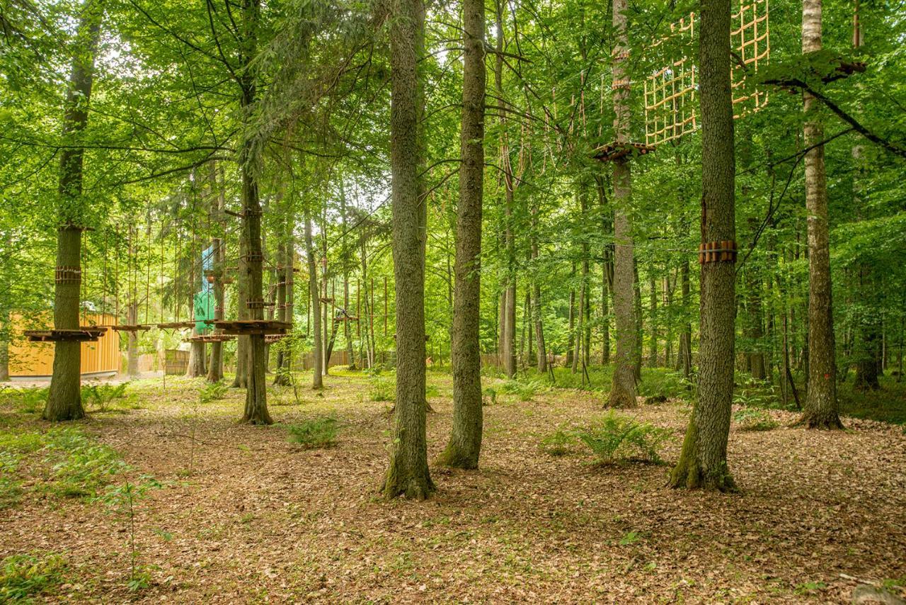 Enklawa Bialowieska Forest & * Hajnówka