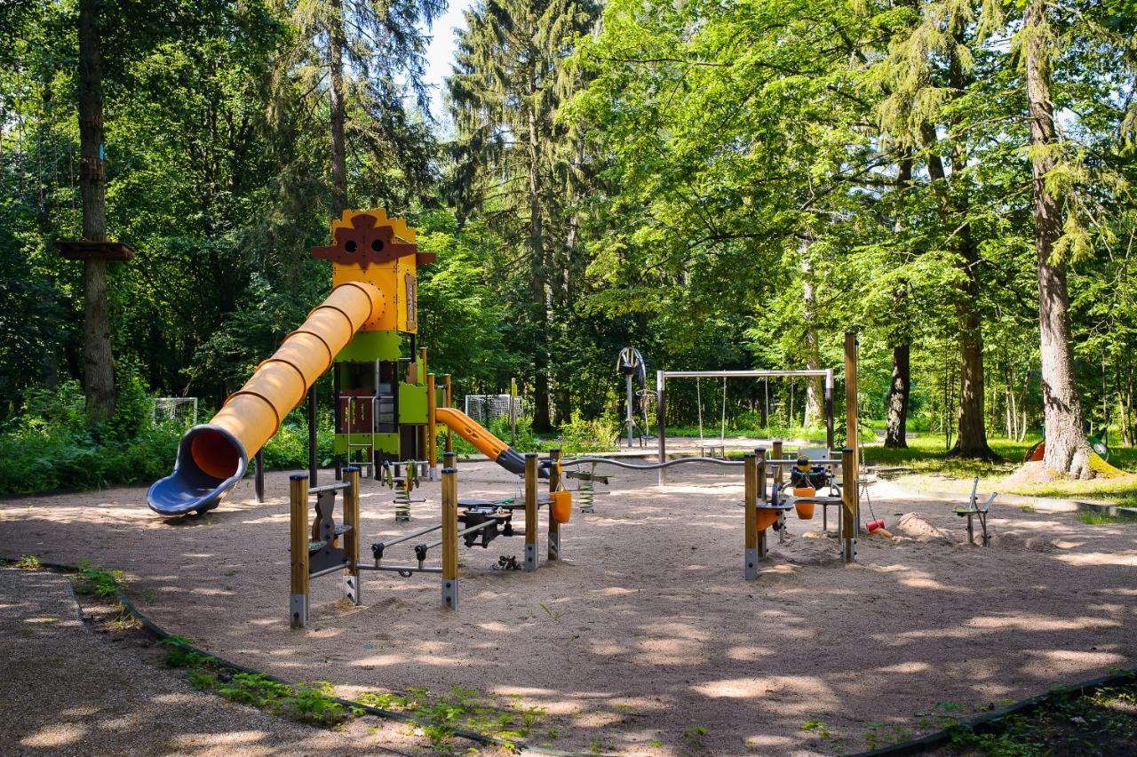 Enklawa Bialowieska Forest &