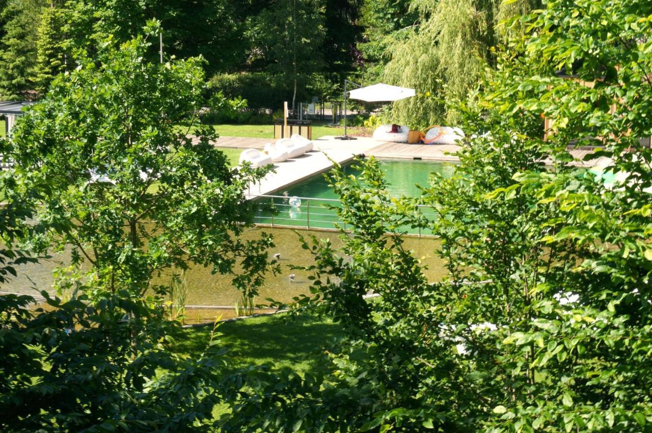 Enklawa Bialowieska Forest & Hajnowka