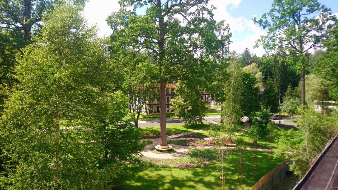 Enklawa Bialowieska Forest & Aparthotel