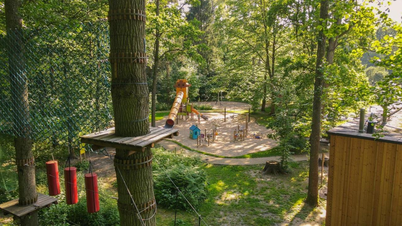 Enklawa Bialowieska Forest & Hajnowka