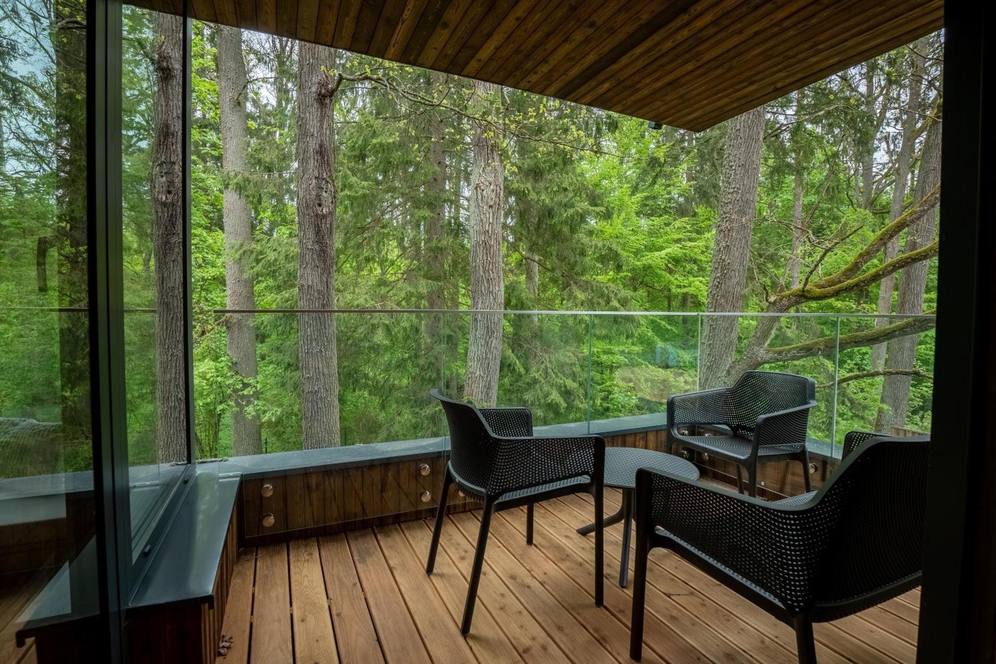 Enklawa Bialowieska Forest & Hajnowka